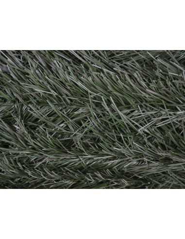 FOLHA FINA DE HEDGE PREMIUM