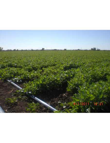 ROLLO 100 M MANGUERA PLANA PLASTOCANAL 60 MM