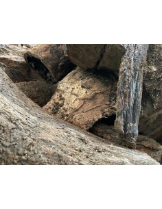 Lenha seca de azinheira.