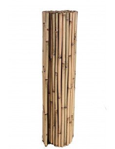 Bambú Barnizado Cosido en... 2