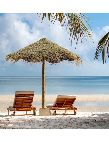 Guarda-chuvas Esparto