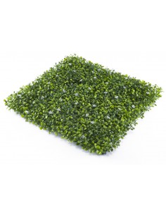 Mugar- Jardim Vertical...