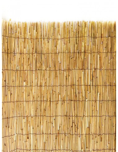 Bambu Extra - Rolos de 5 Metros