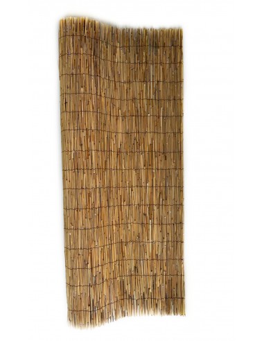 Bambu Extra - Rolos de 5 Metros