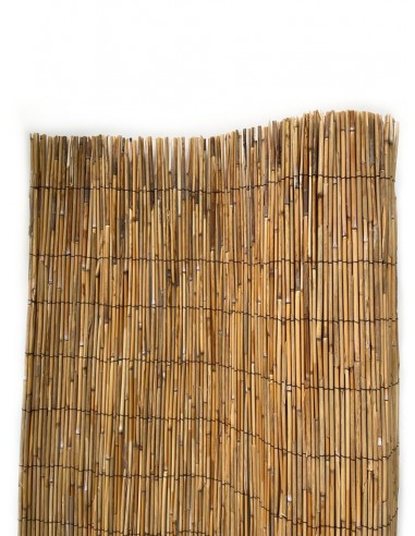 Bambu Extra - Rolos de 5 Metros