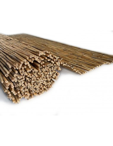 Bambu Extra - Rolos de 5 Metros