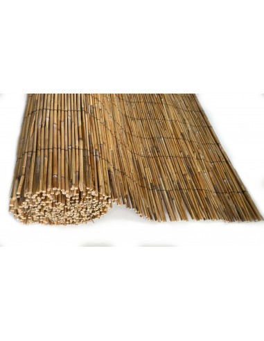 Bambú Extra en Rollos de 5 Metros
