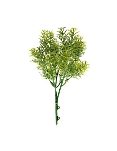 RAMO ARTIFICIAL MUSGO