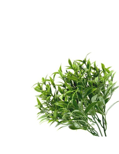 RAMO ARTIFICIAL DIANTOS