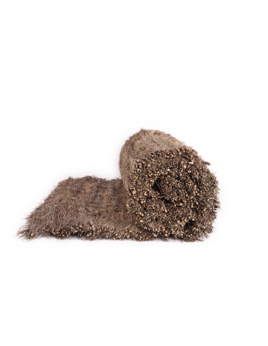 Brezo Nacional- Alta Densidad y...