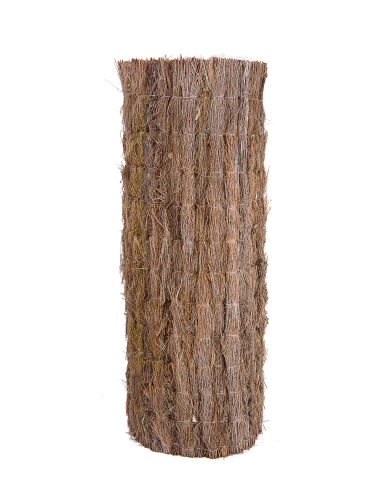 Brezo Nacional- Alta Densidad y...