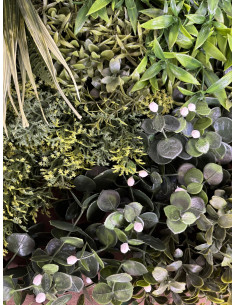 Jardín Vertical Brasil 1x1m 2