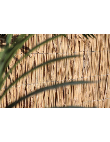 Bambú Ocultación Total