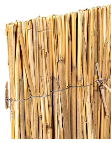 Bambú Ocultación Total