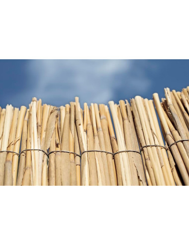 Bambú Ocultación Total