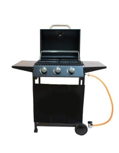 Barbacoa de Gas Alaska 2