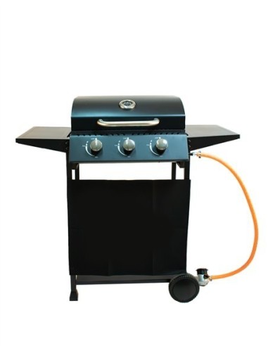 Barbacoa de Gas Alaska