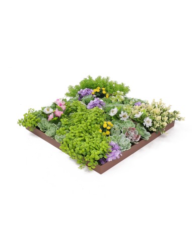 Jardín Vertical Granada - 50x50cm-...