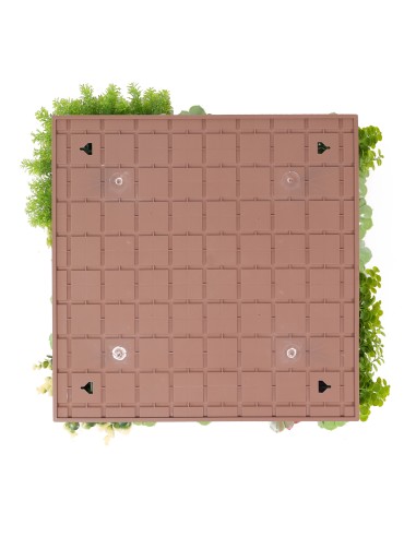 Jardín Vertical Granada - 50x50cm-...