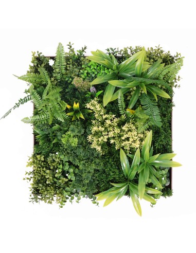 Jardín Vertical Córdoba - 50x50cm-...