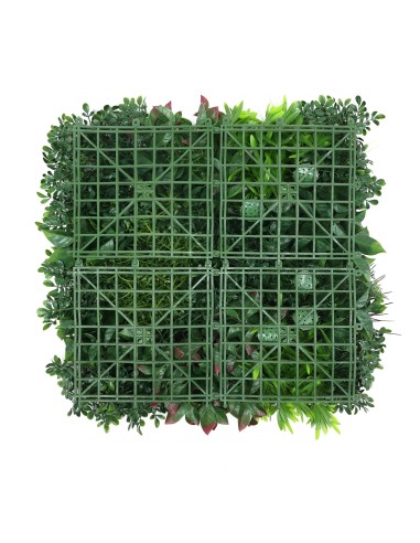 Jardín Vertical Menorca B 50x50cm