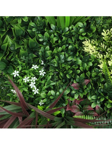 Jardín Vertical Menorca B 50x50cm