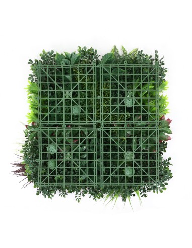 Jardín Vertical Menorca C 50x50cm