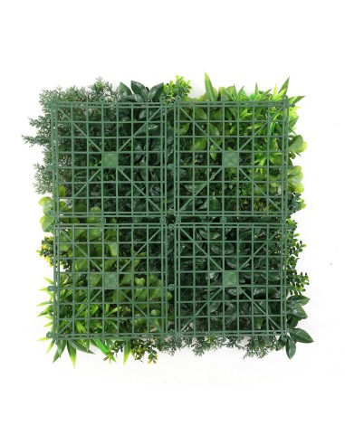 Jardín Vertical Mallorca A 50x50cm
