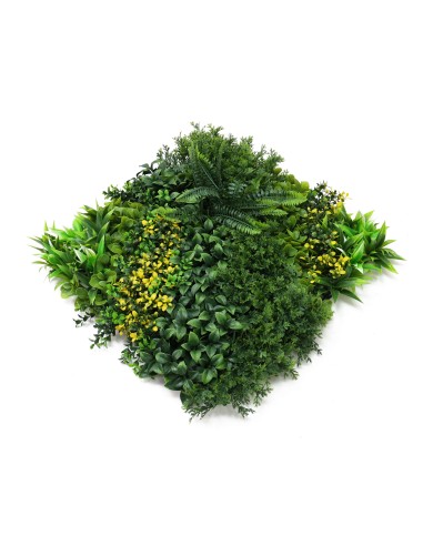 Jardín Vertical Mallorca B 50x50cm