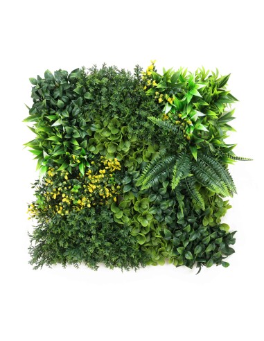 Jardín Vertical Mallorca C 50x50cm