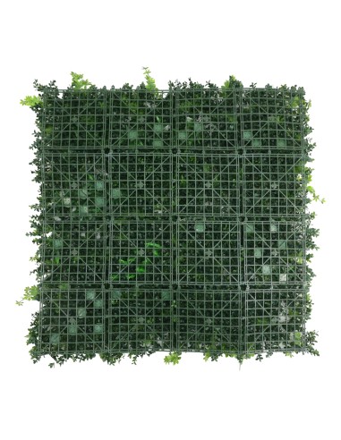 Jardín Vertical Madrid 100x100cm