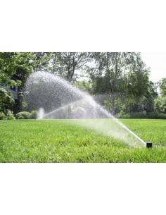 Aspersor 5004 PC Rain Bird de 3/4". 2
