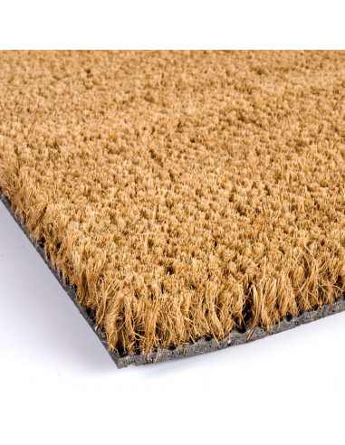 ROLLO DE FELPUDO DE COCO DE 12x2M