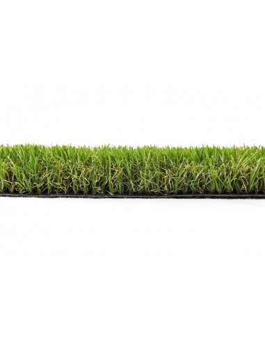 CÉSPED CASCAIS 30 PLUS