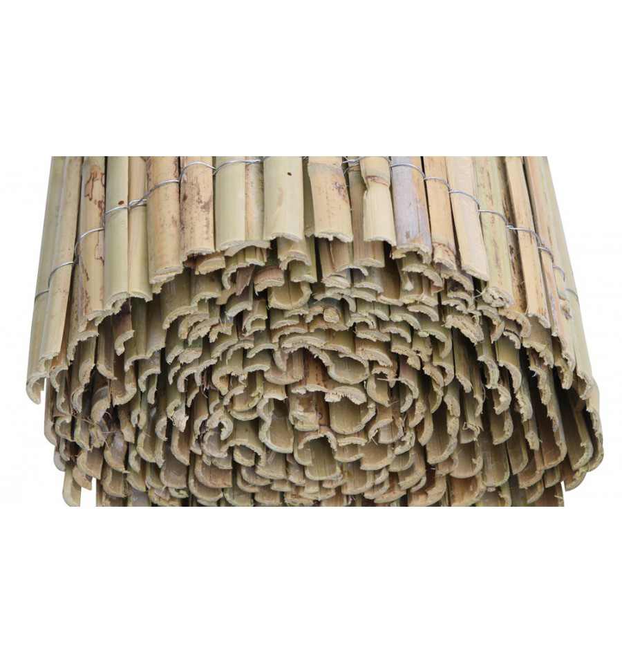 Bambou Robusta - Jardiland