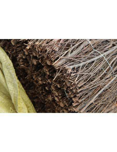 Seto de Brezo Ecolo 2 extra (1x5m)