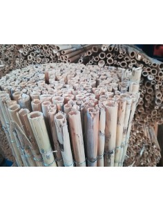 Cañizo caña entera nacional