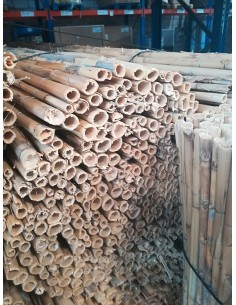 Cañizo caña entera nacional 2